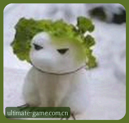 赵敏