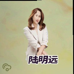 陆明远